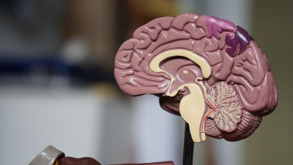 3 Ways to Make the Lives of Alzheimer's Patients Easier