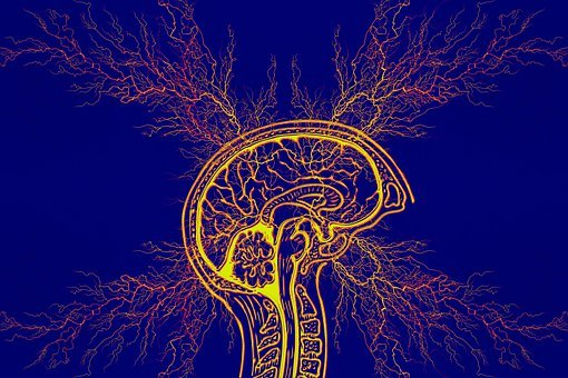 an illustration of brain waves in yellow colour