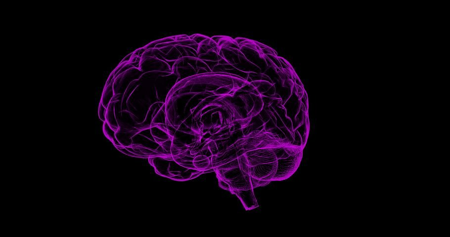 What Causes Alzheimer’s?